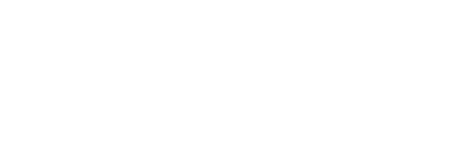 OrionBeltCompany